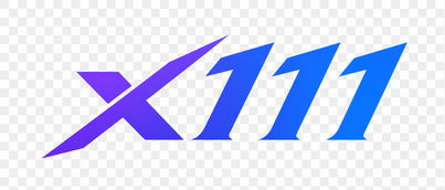 x111